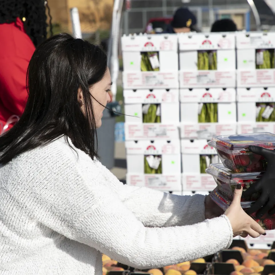 Volunteer woman takes strawberries from another person at mobile food drive, with truck full of produce in the background.